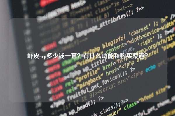 虾皮erp多少钱一套？有什么功能和购买渠道？