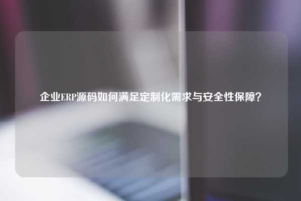 企业ERP源码如何满足定制化需求与安全性保障？