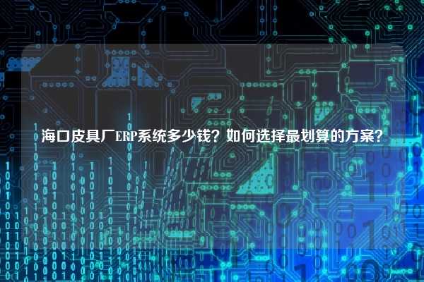 海口皮具厂ERP系统多少钱？如何选择最划算的方案？